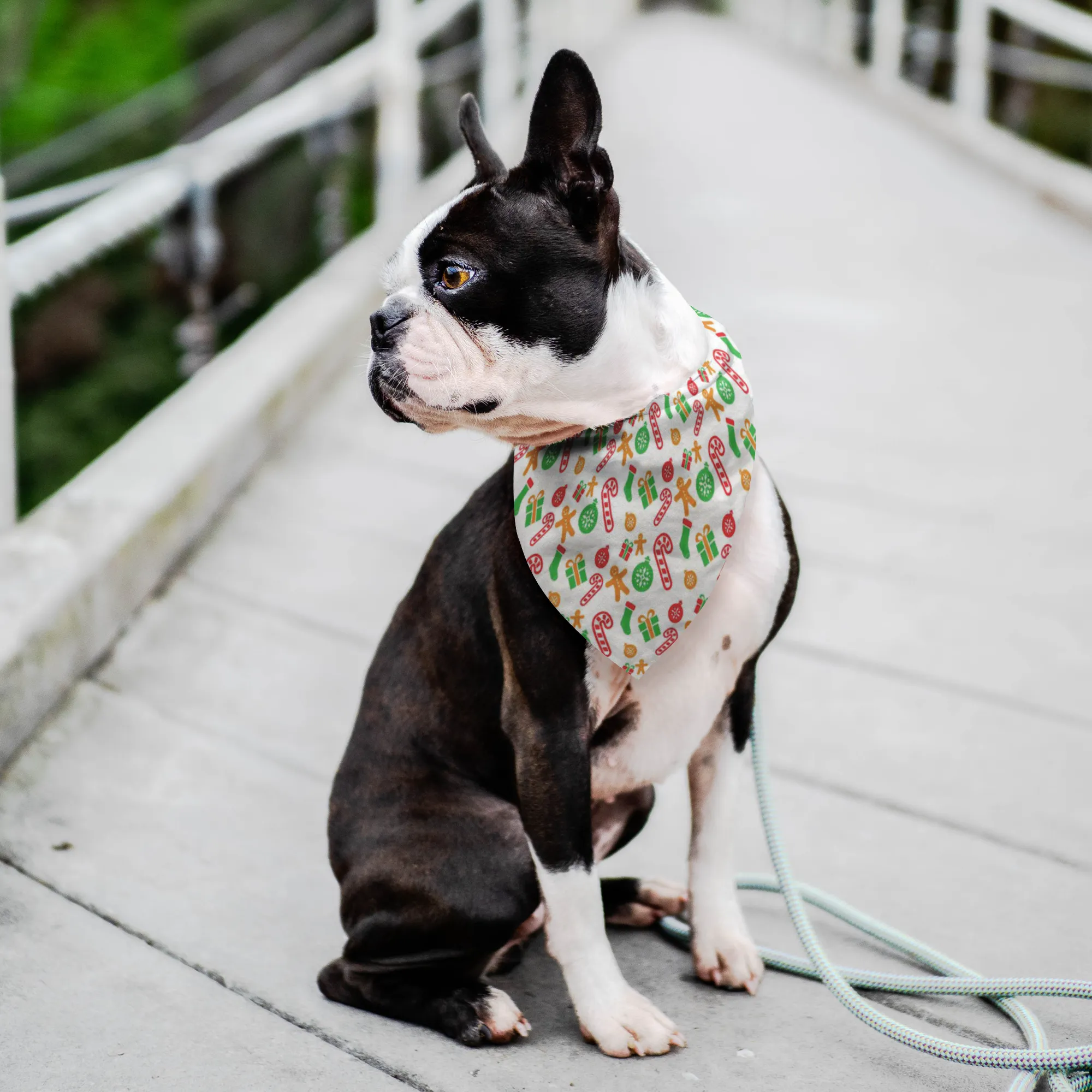 Dog Christmas Bandana