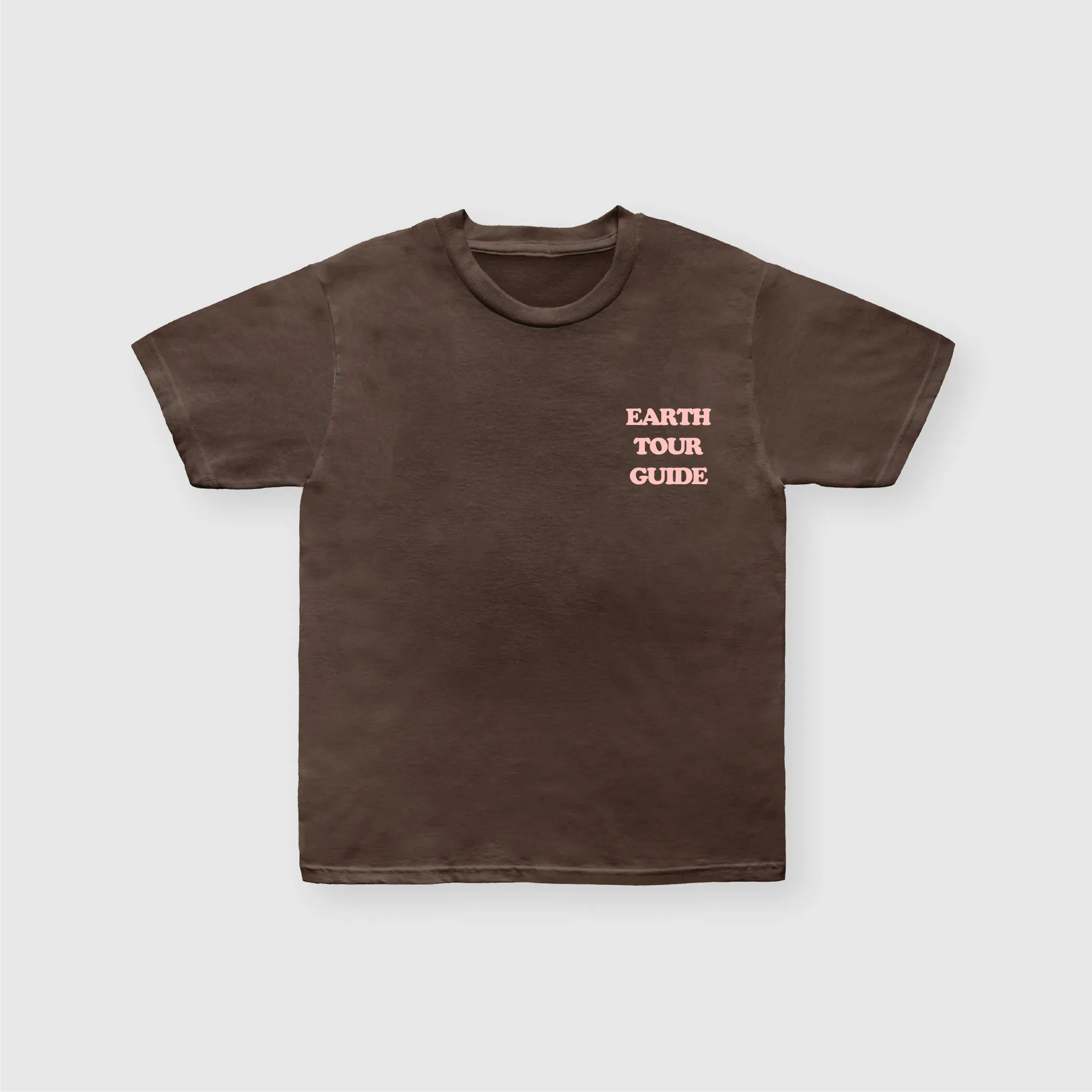 FADED BROWN EARTHLINGS T-SHIRT