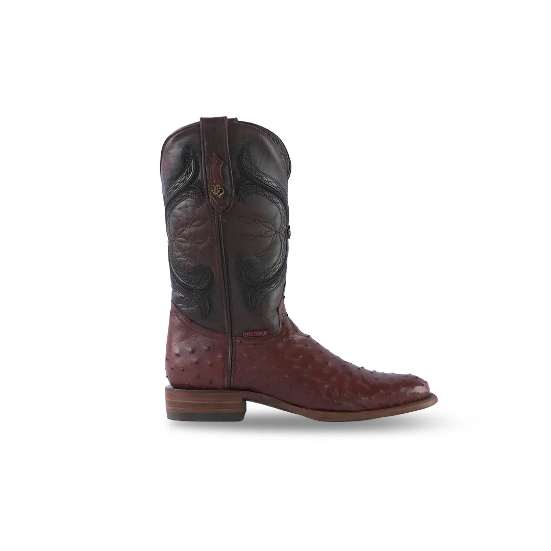 Texas Country Exotic Boot AV91 Ostrich Tabaco Tacoma Toe