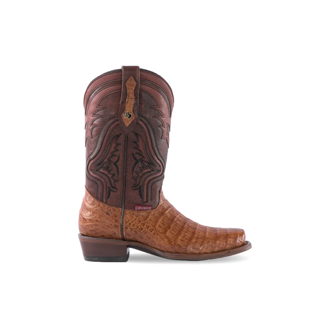 Texas Country Exotic Boot Panza Caiman Belly Camell LN101