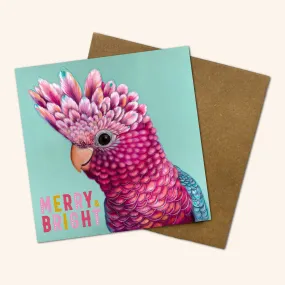 Ziggy the Galah Christmas Card